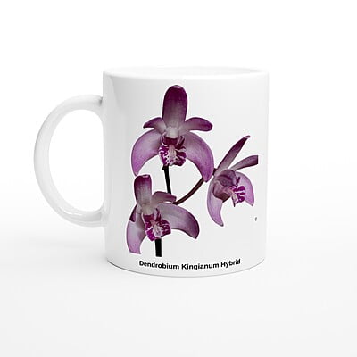 Den. Kingianum Hybrid Orchid Coffee Mug