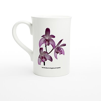 Den. Kingianum Hybrid Orchid Porcelain Mug