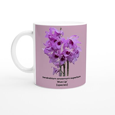 Den. anosmum superbum 'Blue Lip' Orchid Pink Coffee Mug
