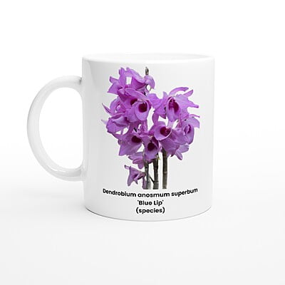 Den. anosmum superbum 'Blue Lip' Orchid Coffee Mug