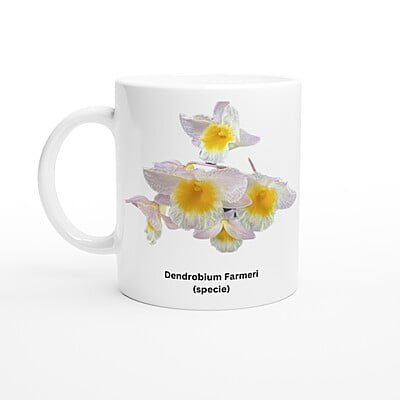 Den. farmeri Orchid Coffee Mug