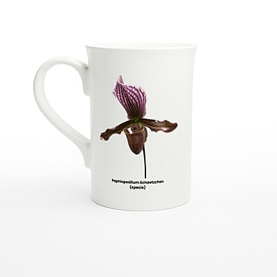 Paphiopedilum Schaetzchen Orchid Porcelain Mug