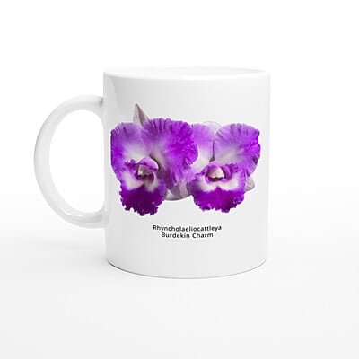 Rhyncholaeliocattleya Burdekin Charm Orchid Coffee Mug Rhyncholaeliocattleya Burdekin Charm Orchid Coffee Mug