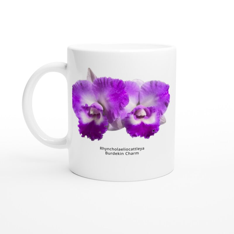 Rhyncholaeliocattleya Burdekin Charm Orchid Coffee Mug Rhyncholaeliocattleya Burdekin Charm Orchid Coffee Mug