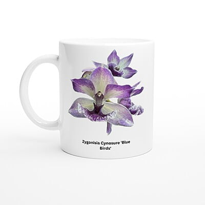 Zygonisia Cynosure 'Blue Bird' Orchid Coffee Mug Zygonisia Cynosure 'Blue Bird' Orchid Coffee Mug