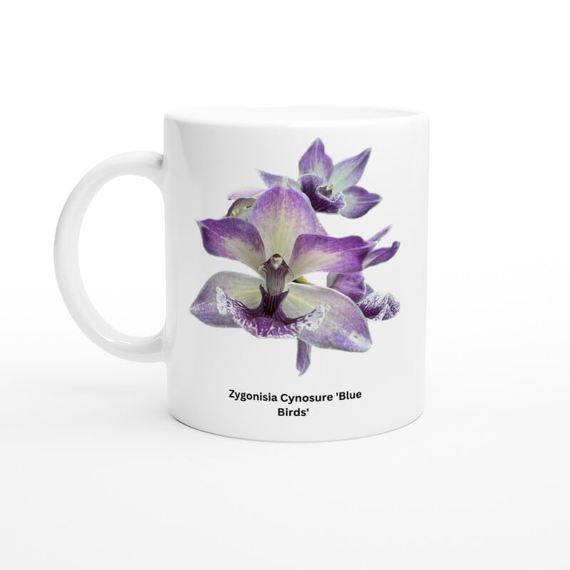 Zygonisia Cynosure 'Blue Bird' Orchid Coffee Mug Zygonisia Cynosure 'Blue Bird' Orchid Coffee Mug