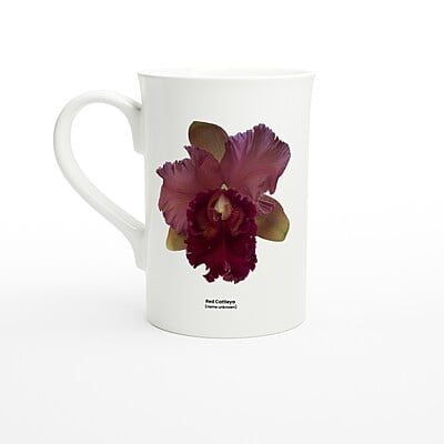 Cattleya Orchid Porcelain Mug