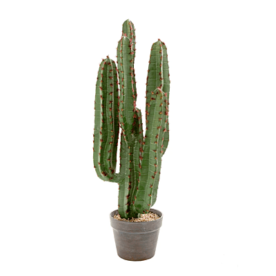 Medium Artificial Desert Cactus - Hire