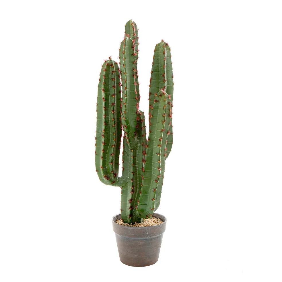 Medium Artificial Desert Cactus - Hire Medium Artificial Desert Cactus - Hire