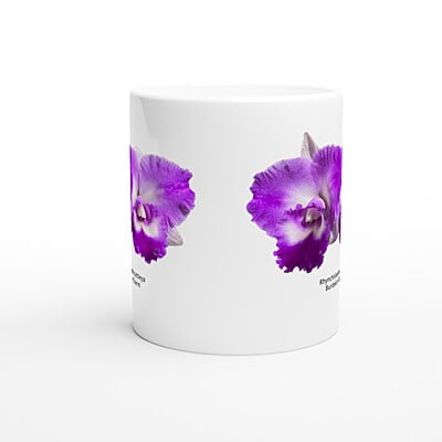 Rhyncholaeliocattleya Burdekin Charm Orchid Coffee Mug Rhyncholaeliocattleya Burdekin Charm Orchid Coffee Mug
