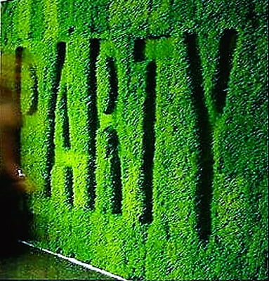 Customised Green Photo Wall/ Backdrop