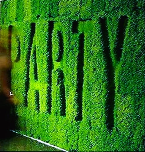 Customised Green Photo Wall/ Backdrop Customised Green Photo Wall/ Backdrop