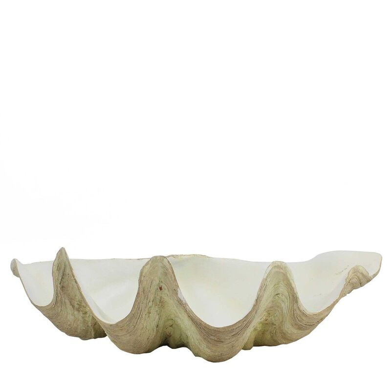Giant Clam Shell Decor Bowl - Hire Giant Clam Shell Decor Bowl - Hire