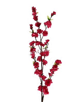 Copy of Green Banskia Stem Flower Hire Melbourne Copy of Green Banskia Stem Flower Hire Melbourne