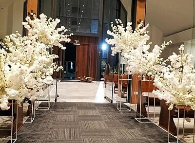 Copy of Green Banskia Stem Flower Hire Melbourne Copy of Green Banskia Stem Flower Hire Melbourne