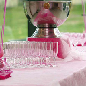 Punch Bowl/Champagne Cooler (Brushed Stainless Steel)