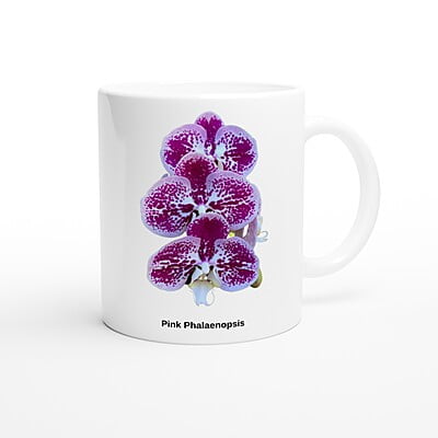Pink Phalaenopsis Orchid Coffee Mug Pink Phalaenopsis Orchid Coffee Mug