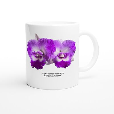 Rhyncholaeliocattleya Burdekin Charm Orchid Coffee Mug Rhyncholaeliocattleya Burdekin Charm Orchid Coffee Mug