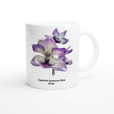 Zygonisia Cynosure 'Blue Bird' Orchid Coffee Mug Zygonisia Cynosure 'Blue Bird' Orchid Coffee Mug