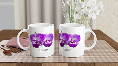 Rhyncholaeliocattleya Burdekin Charm Orchid Coffee Mug Rhyncholaeliocattleya Burdekin Charm Orchid Coffee Mug