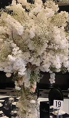 Copy of Green Banskia Stem Flower Hire Melbourne Copy of Green Banskia Stem Flower Hire Melbourne