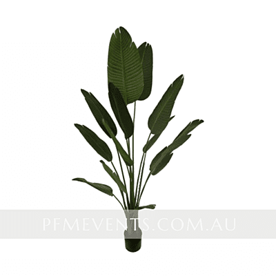 Extra Large Artificial Bird of Paradise - Hire