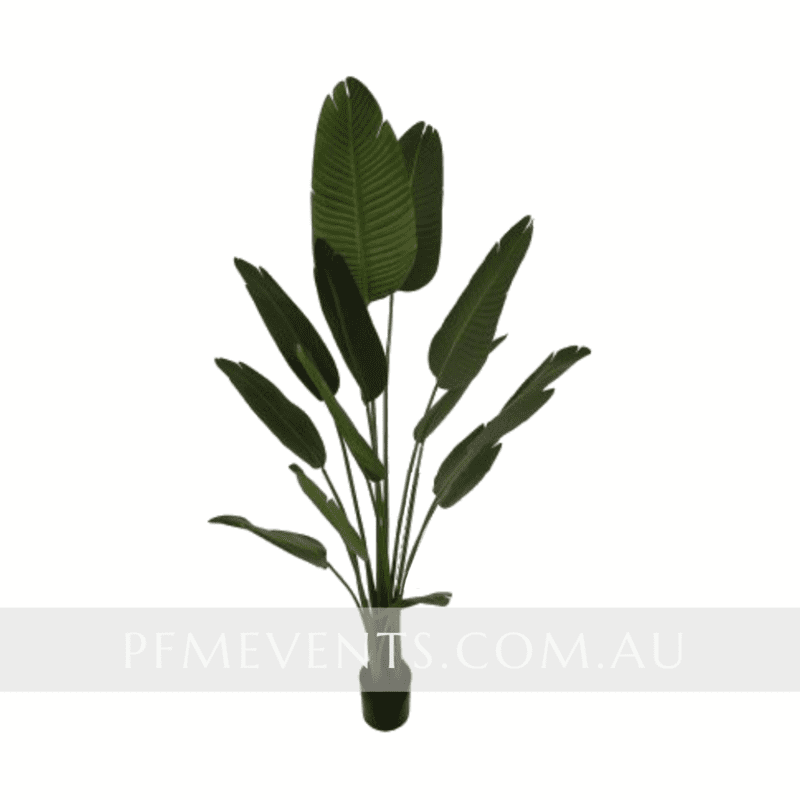 Extra Large Artificial Bird of Paradise - Hire Extra Large Artificial Bird of Paradise - Hire