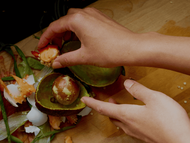 Compostable Food Storage Bags Compostable Food Storage Bags